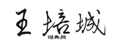 骆恒光王培城行书个性签名怎么写