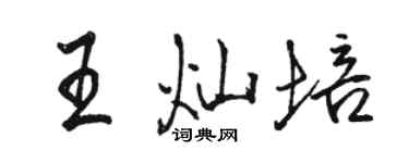 骆恒光王灿培行书个性签名怎么写