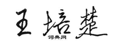 骆恒光王培楚行书个性签名怎么写