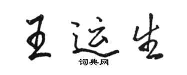 骆恒光王运生行书个性签名怎么写
