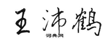 骆恒光王沛鹤行书个性签名怎么写