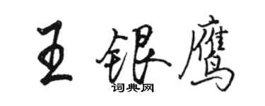 骆恒光王银鹰行书个性签名怎么写