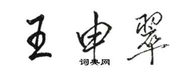 骆恒光王申翠行书个性签名怎么写