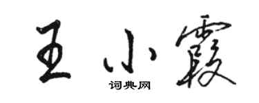 骆恒光王小霞行书个性签名怎么写
