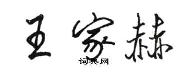 骆恒光王家赫行书个性签名怎么写