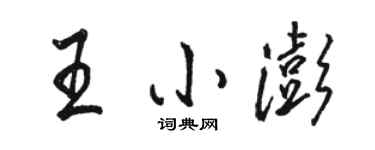 骆恒光王小澎行书个性签名怎么写