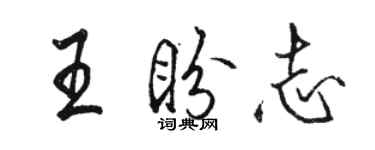 骆恒光王盼志行书个性签名怎么写