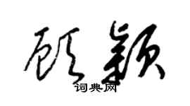 梁锦英顾颖草书个性签名怎么写