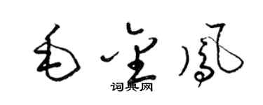 梁锦英毛金凤草书个性签名怎么写