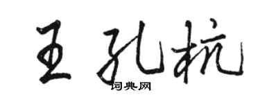 骆恒光王孔杭行书个性签名怎么写