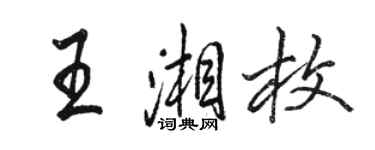 骆恒光王湘枚行书个性签名怎么写