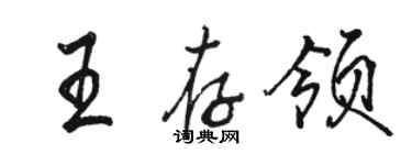 骆恒光王存领行书个性签名怎么写
