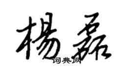 王正良杨磊行书个性签名怎么写