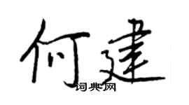 王正良何建行书个性签名怎么写