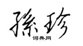 王正良孙珍行书个性签名怎么写