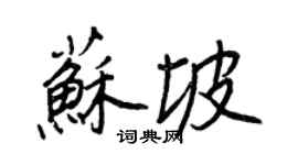 王正良苏坡行书个性签名怎么写