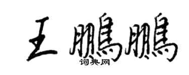 王正良王鹏鹏行书个性签名怎么写