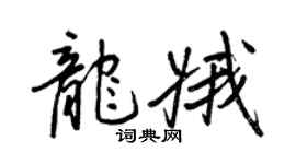 王正良龙娥行书个性签名怎么写
