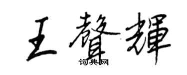 王正良王声辉行书个性签名怎么写