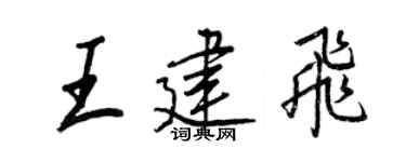 王正良王建飞行书个性签名怎么写