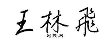 王正良王林飞行书个性签名怎么写