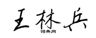 王正良王林兵行书个性签名怎么写