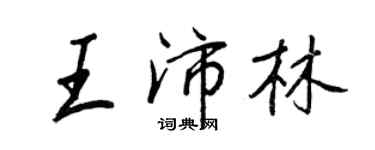 王正良王沛林行书个性签名怎么写