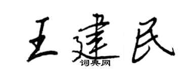 王正良王建民行书个性签名怎么写