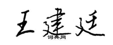 王正良王建廷行书个性签名怎么写