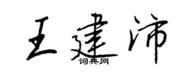 王正良王建沛行书个性签名怎么写