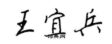 王正良王宜兵行书个性签名怎么写