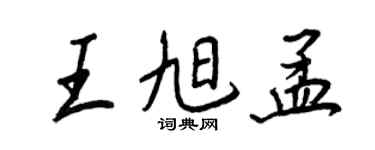 王正良王旭孟行书个性签名怎么写