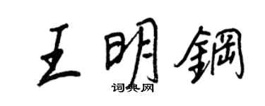 王正良王明钢行书个性签名怎么写