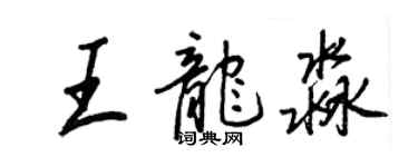 王正良王龙淼行书个性签名怎么写