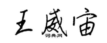 王正良王威宙行书个性签名怎么写