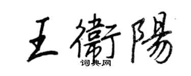 王正良王卫阳行书个性签名怎么写