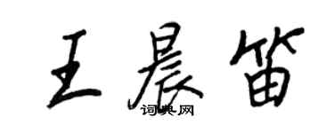 王正良王晨笛行书个性签名怎么写