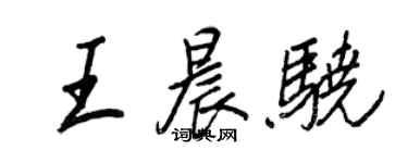 王正良王晨骁行书个性签名怎么写