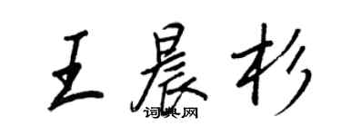 王正良王晨杉行书个性签名怎么写