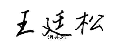 王正良王廷松行书个性签名怎么写