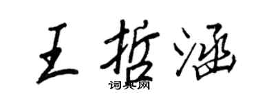 王正良王哲涵行书个性签名怎么写
