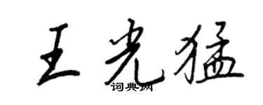 王正良王光猛行书个性签名怎么写