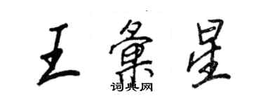 王正良王汇星行书个性签名怎么写