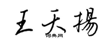 王正良王夭扬行书个性签名怎么写