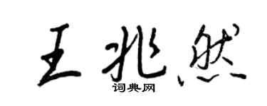 王正良王兆然行书个性签名怎么写