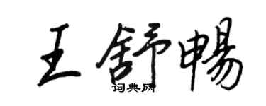 王正良王舒畅行书个性签名怎么写