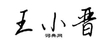 王正良王小晋行书个性签名怎么写