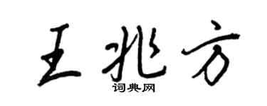 王正良王兆方行书个性签名怎么写