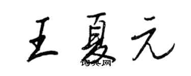 王正良王夏元行书个性签名怎么写