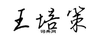 王正良王培策行书个性签名怎么写